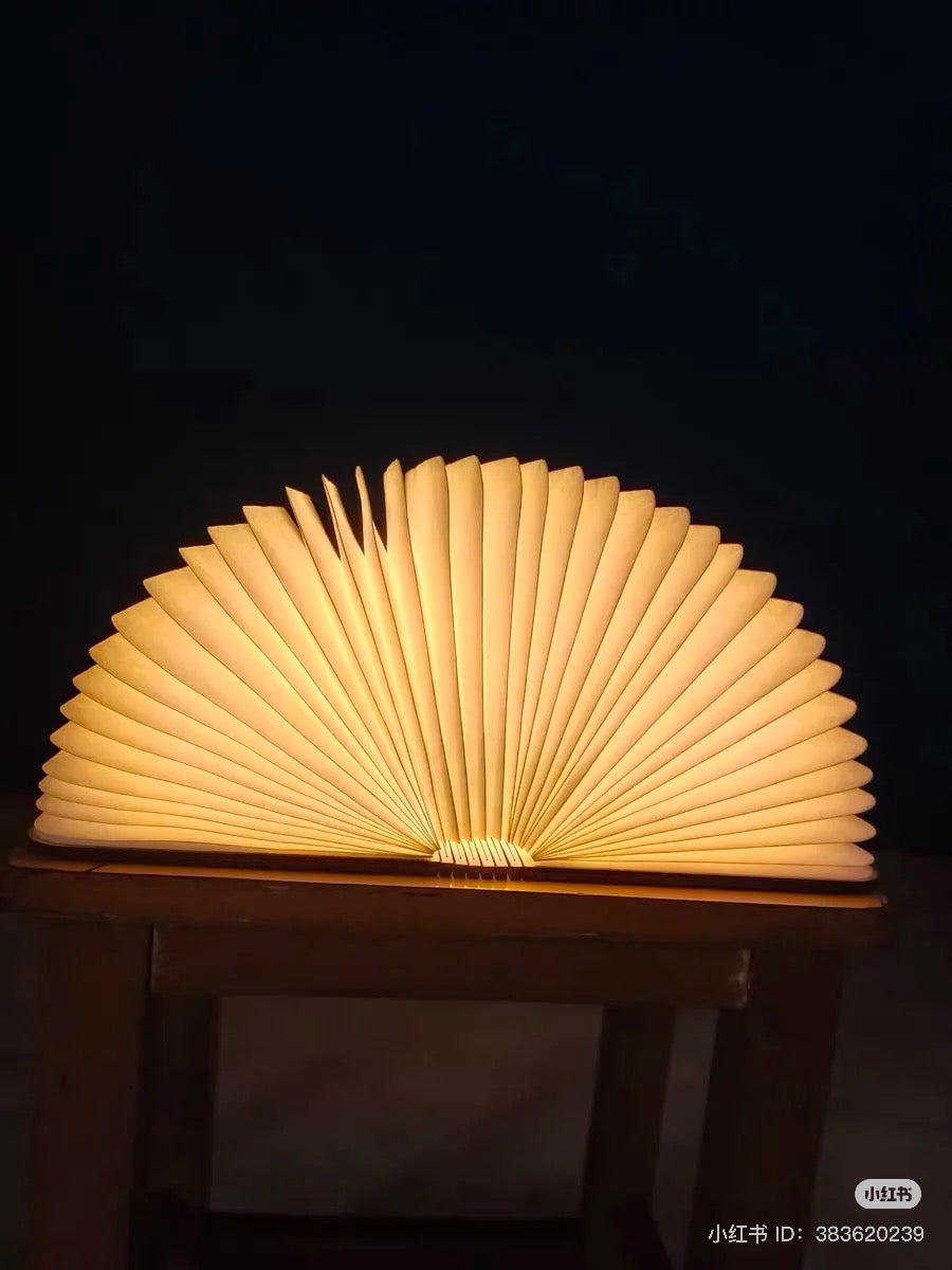 European Book Lamp